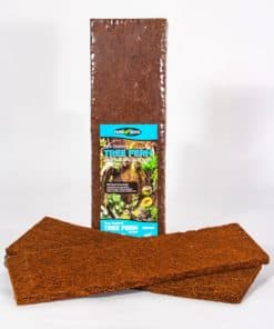 Tree Fern Panel