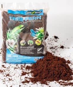Tree Fern Substrate