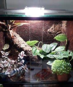 SkyLight Tiny RH
