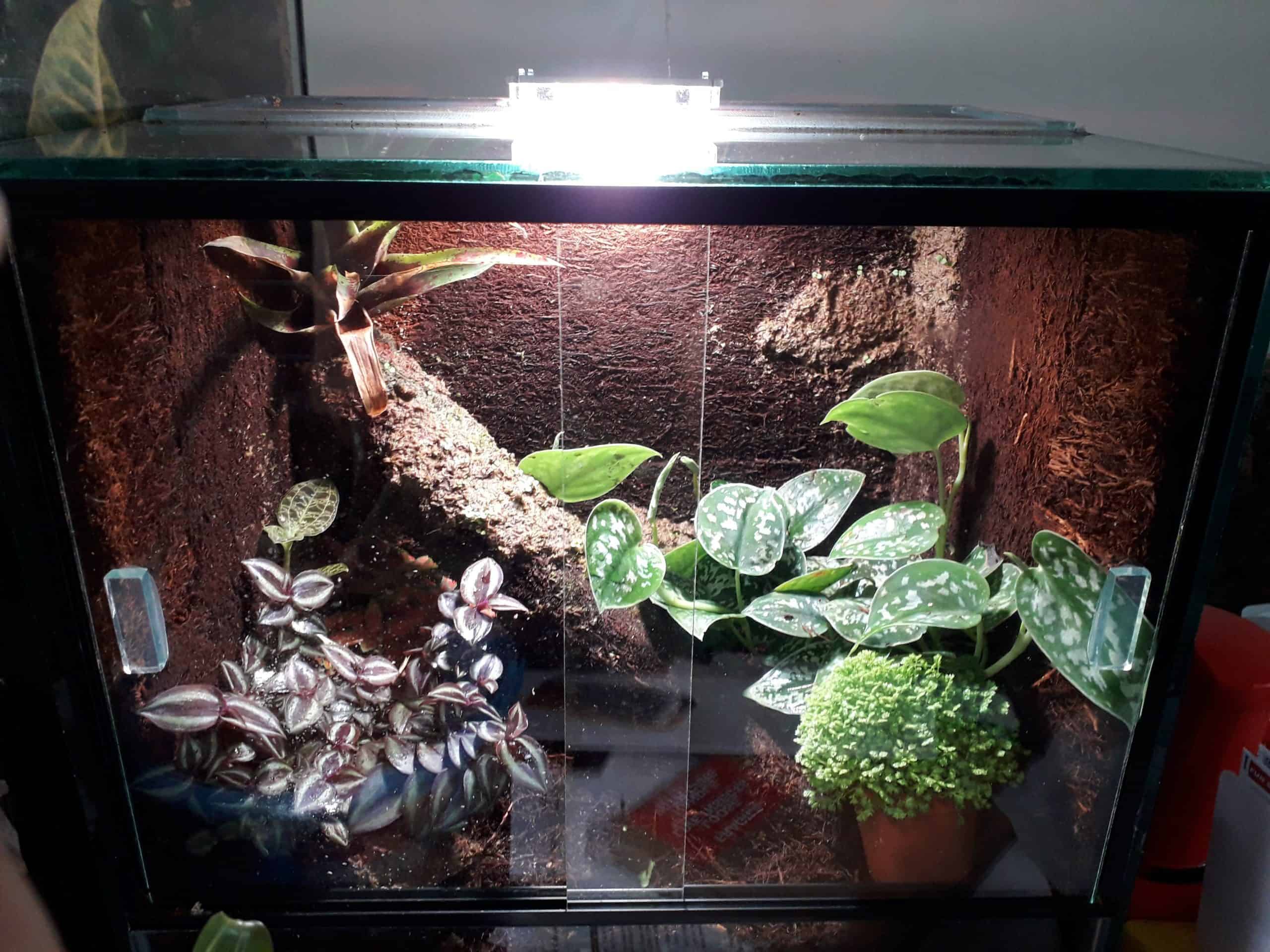 SkyLight Tiny RH