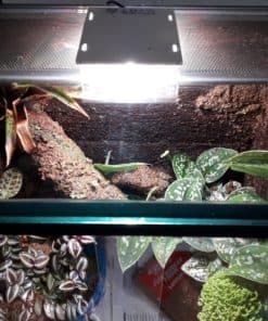 SkyLight Tiny RH