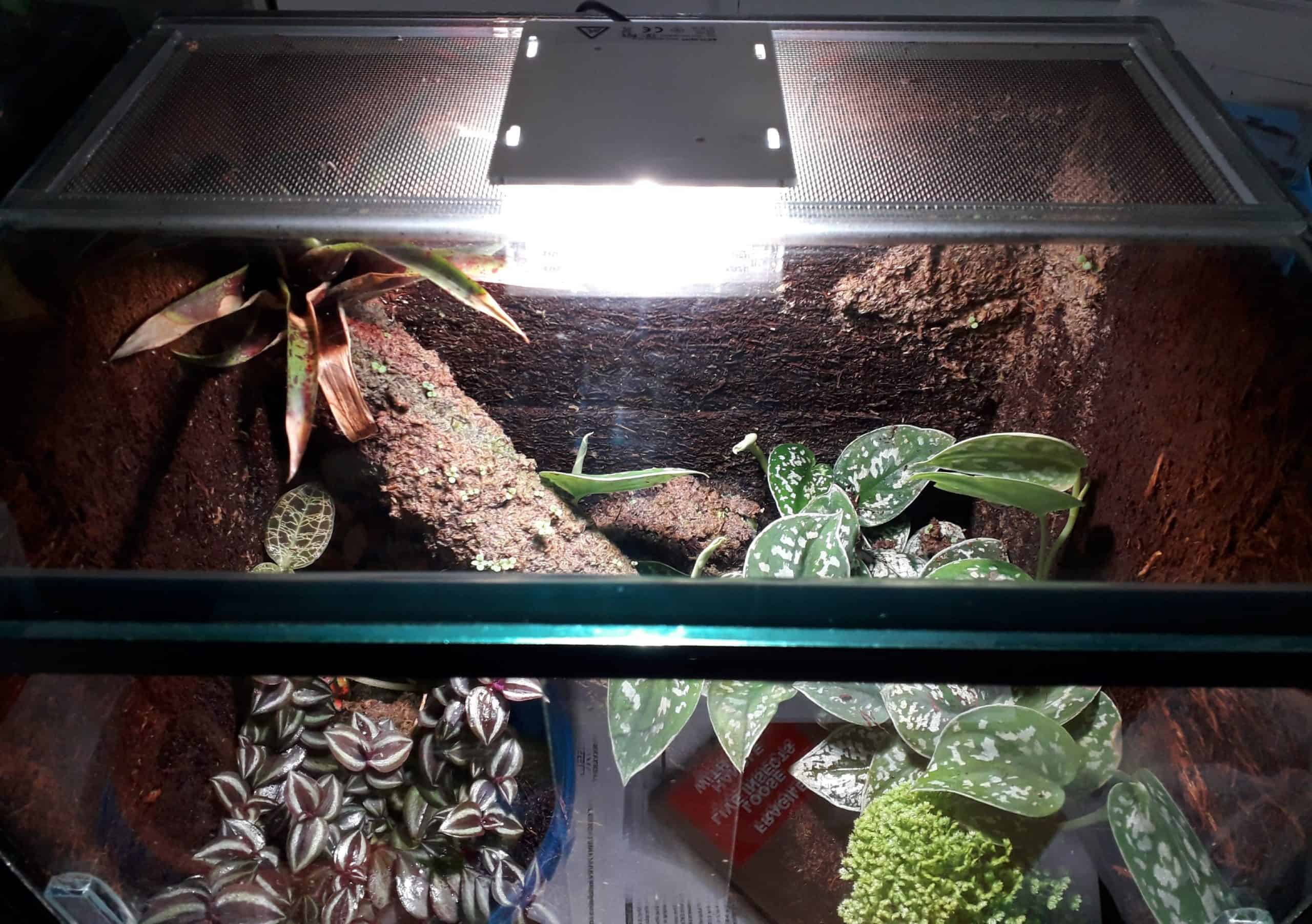 SkyLight Tiny RH