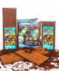 Tree Fern Products