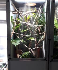 Alternative view of SkyLight Opti H