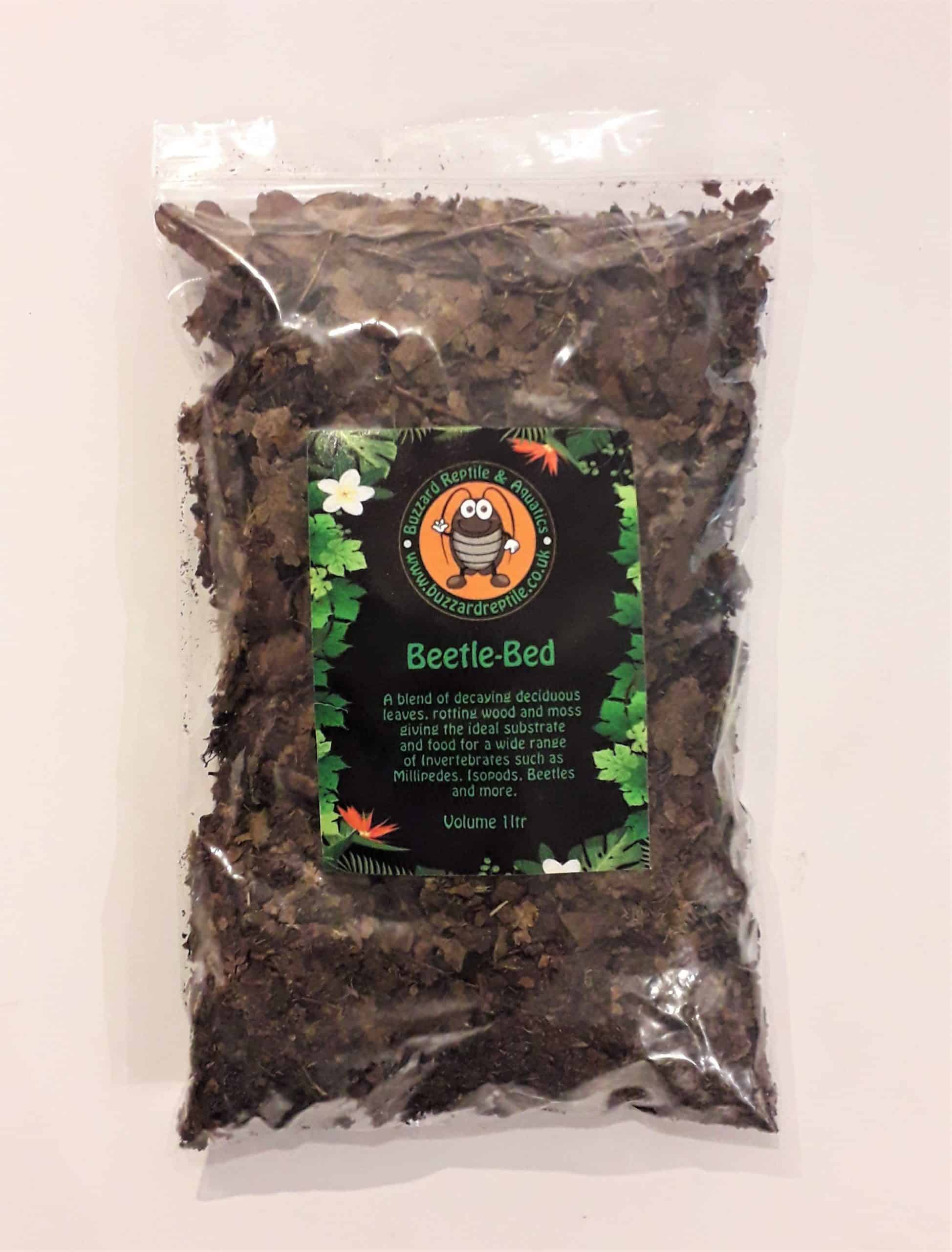 Beetle Bed