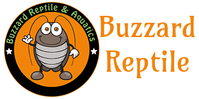 Buzzard Reptile & Aquatics