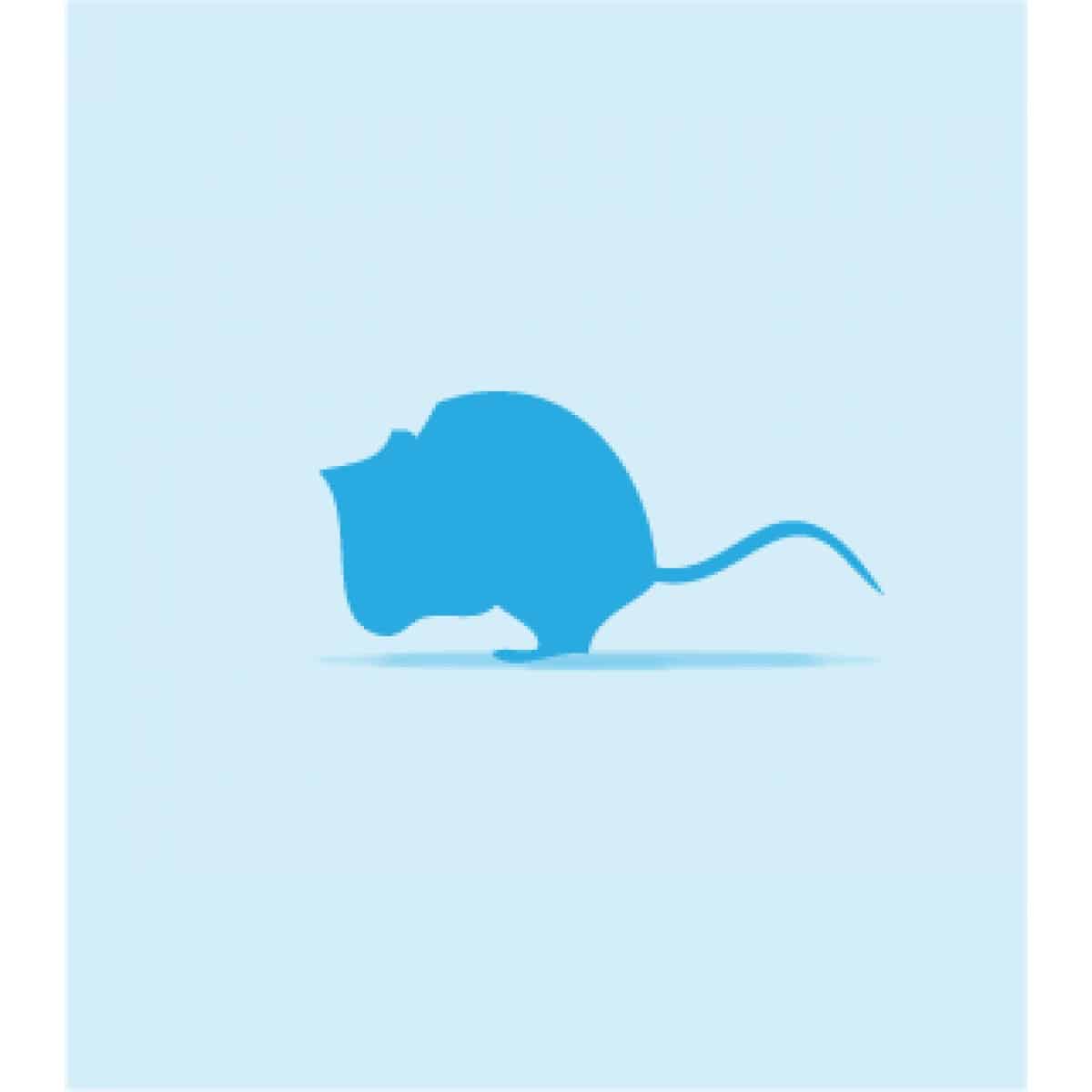 Frozen Mice