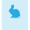Frozen Rabbits