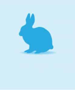 Frozen Rabbits
