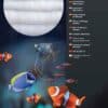Aquarium Systems Mega Media