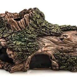 Wood and Branches