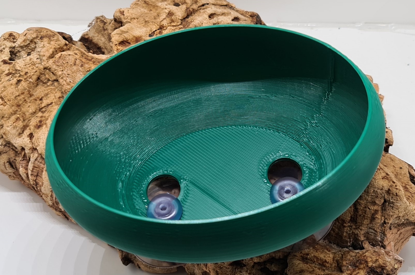 Gecko Hide - Image 2