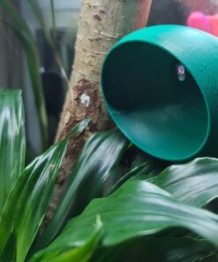 Gecko Hide - Image 10