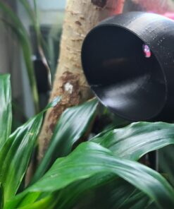 Gecko Hide - Image 12