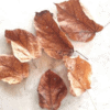 Halmilla Leaves