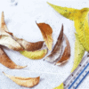 Neem Leaves