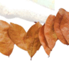 Soursop Leaves