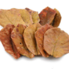 Catappa (Indian Almond)