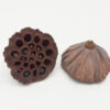 Lotus Pod