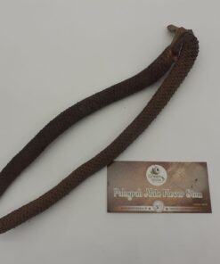 Palmyrah Male Flower Stems