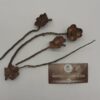Coconut Flower Stems