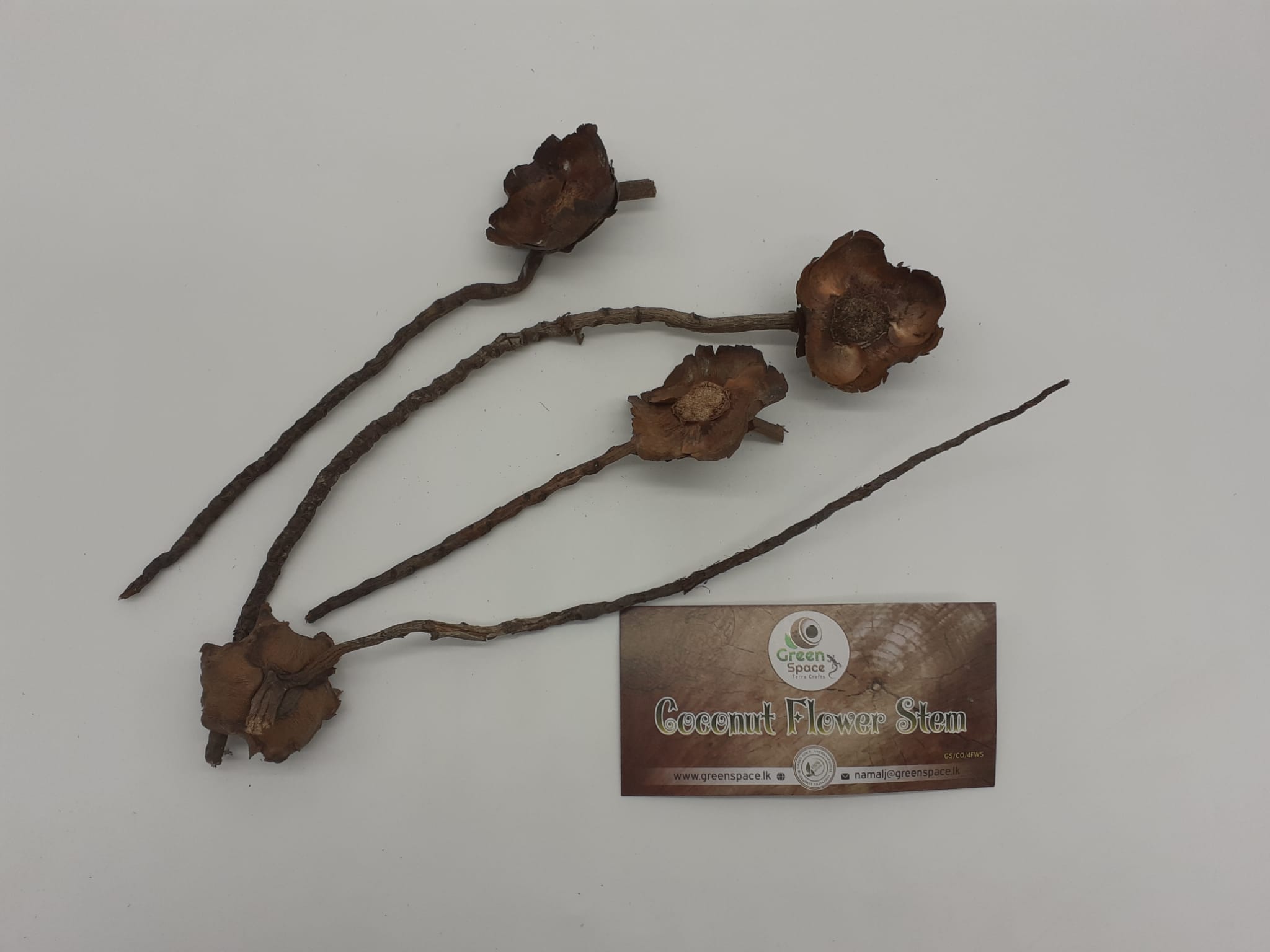 Coconut Flower Stems