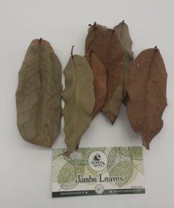 Jambu Leaves