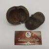 Thelambu Tree Pods