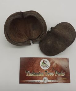 Thelambu Tree Pods