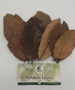 Ketakera Leaves