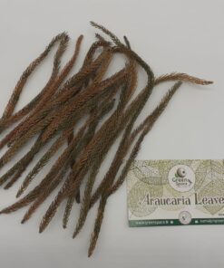 Arakeriya Leaves