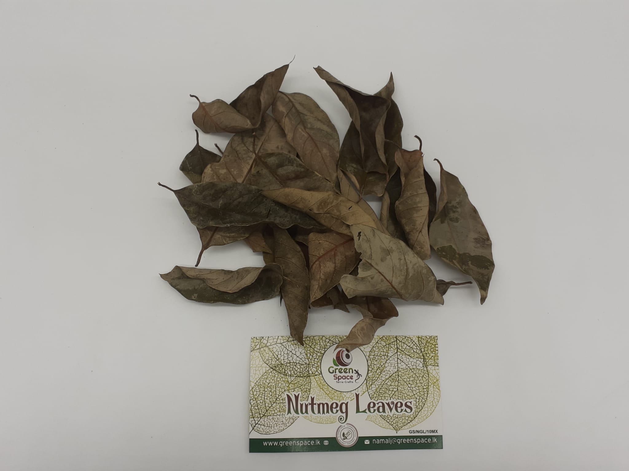 Nutmeg Leaves