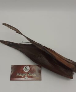 Palmyrah Male Sheath