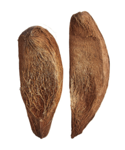 Coconut Husk Slice