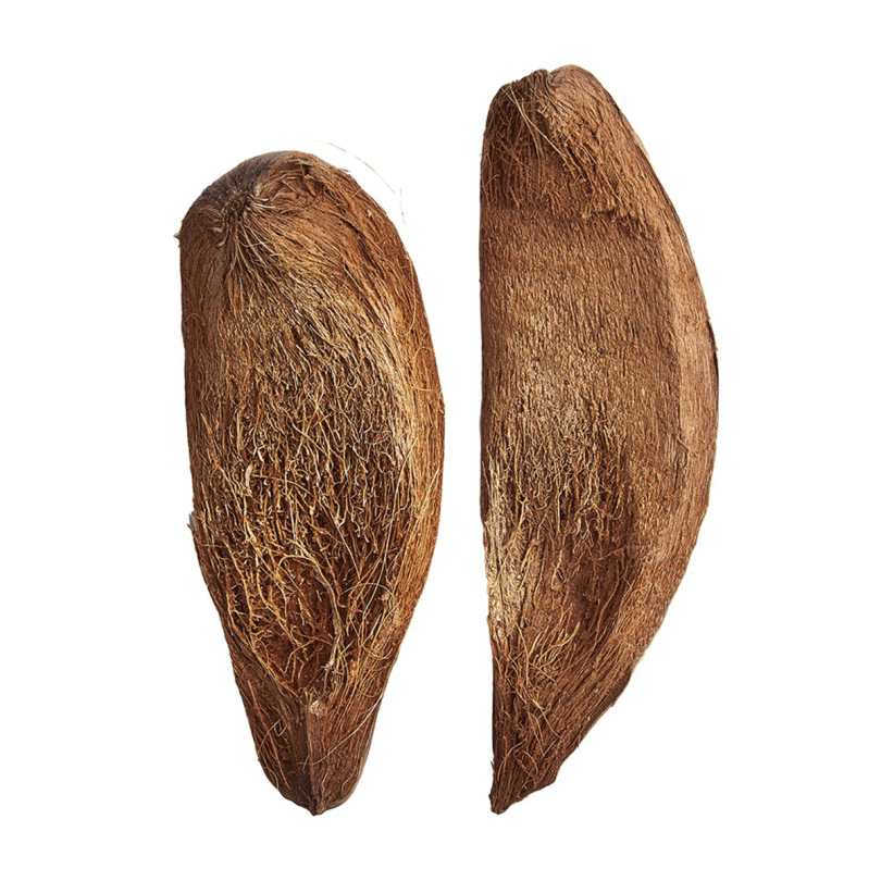 Coconut Husk Slice