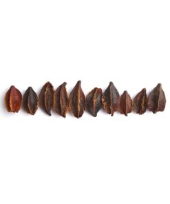 Kumbuk Tree Pod