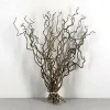 Twisted Hazel