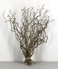 Twisted Hazel
