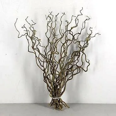 Twisted Hazel
