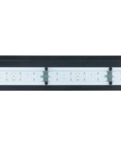 SKYLIGHT PR-80 - Image 3