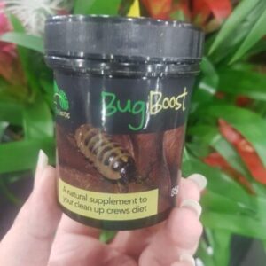 Bioactive Herps Bug Boost