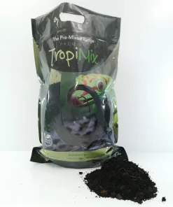 Premium Tropical Forest Kit