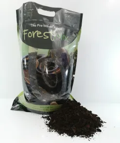Bearded Dragon Woodland Kit