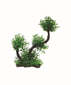Hugo Bonsai 4 40cm