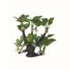 Hugo Tree Branch 33x26x37cm