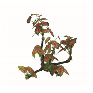 Hugo Tree Branch 36x16x58cm