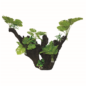 Hugo Tree Branch 57x25x49cm