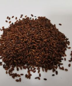 Seeds - Safe Feeds