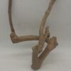 Java Wood - Double Stem - Small 5