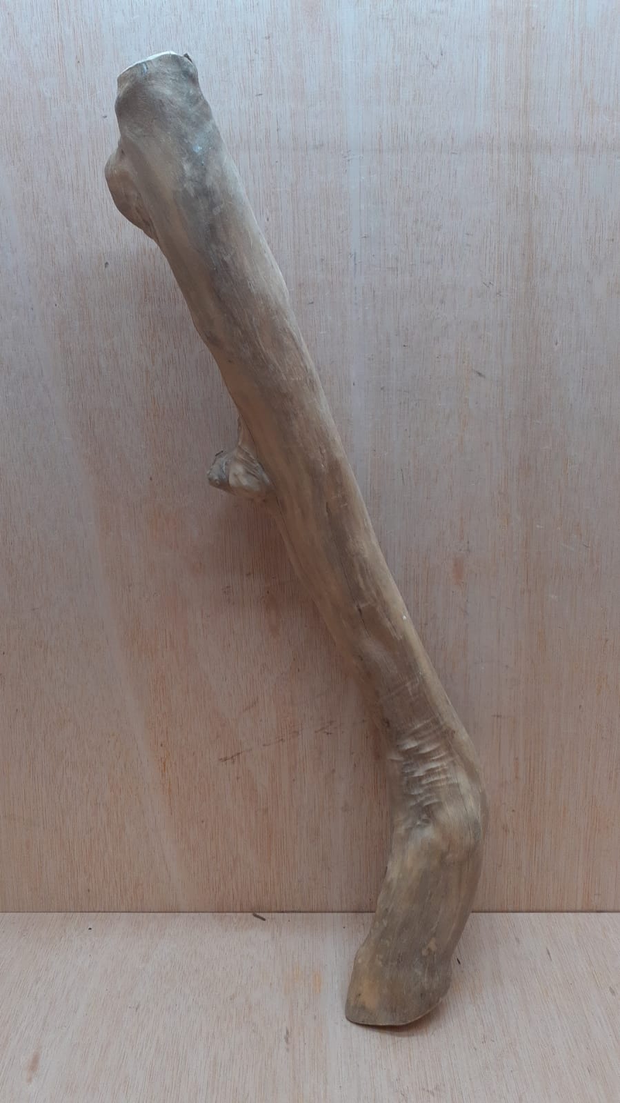Java Wood - Single Stem - XL 5